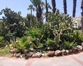 Asteria Family Resort Side