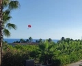 Alba Resort