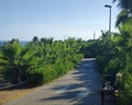 Alba Resort