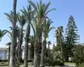 Asteria Family Resort Side