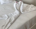 Q Premium Resort