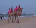 Vincci Dar Midoun