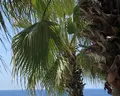 Q Premium Resort