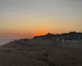 Seashell Vega