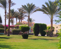 Swissotel Resort El Quseir