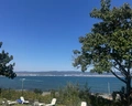 Festa Panorama