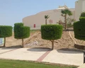 El Malikia Resort Abu Dabbab
