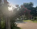 Meder Resort