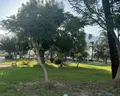 Meder Resort