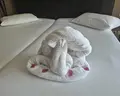 Jaz Lamaya Resort