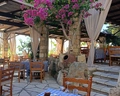 Coral Beach & Resort
