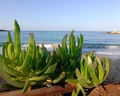 Coral Beach & Resort
