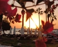 Coral Beach & Resort