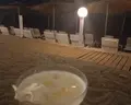 Catamaran Quality Times
