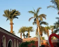 Aladdin Beach Resort