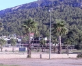 Long Beach Club Nature