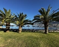 Long Beach Club Nature