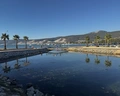 Long Beach Club Nature
