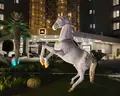 Amara Comfort Resort Kemer