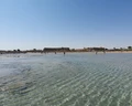 Jasmine Palace