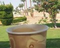 Jasmine Palace
