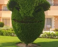 Jasmine Palace