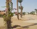 Jasmine Palace