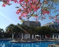 Terrace Elite Resort