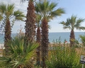Terrace Elite Resort