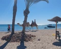 Djerba Castille