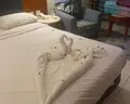 Rehana Sharm Resort