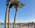 Movenpick Resort El Quseir