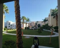 Marina Lodge at Port Ghalib