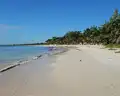 Dreams Tulum Resort