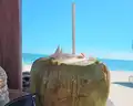 Dreams Tulum Resort