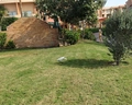 Parrotel Lagoon Resort