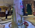 Sea Star Beau Rivage