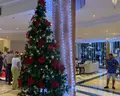 Sea Star Beau Rivage