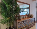 Iberostar Selection Fuerteventura Palace