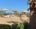 Sea Star Beau Rivage