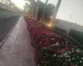Barcelo Tiran Sharm