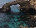 Chrysomare