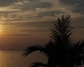 Dusit Thani Laguna