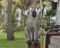 Voyager Beach Resort