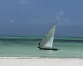 Sbh Monica Zanzibar