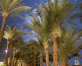 Royal Brayka Resort