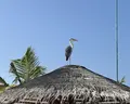 Sun Siyam Olhuveli