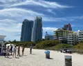 Palm Tree Club