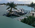 Palm Tree Club