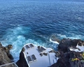 Roca Mar Royal Orchid